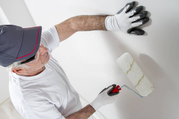 Trusted Coral Hills, MD Mold Removal Experts