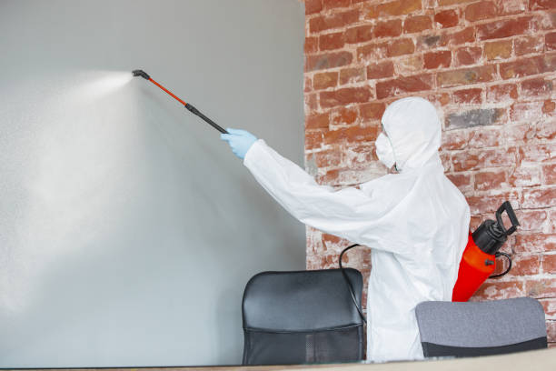 Best Mold Remediation for Healthcare Facilities  in Coral Hills, MD