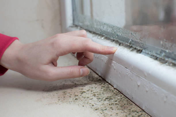 Best Indoor Air Quality Assessment  in Coral Hills, MD