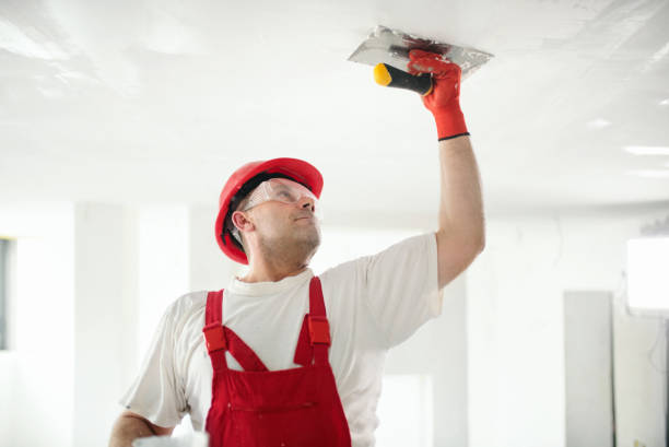 Best Forensic Mold Investigation  in Coral Hills, MD